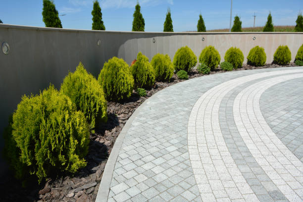 Best Brick Driveway Pavers  in Wheat Ridge, CO